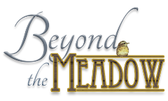 Beyond the Meadow logo