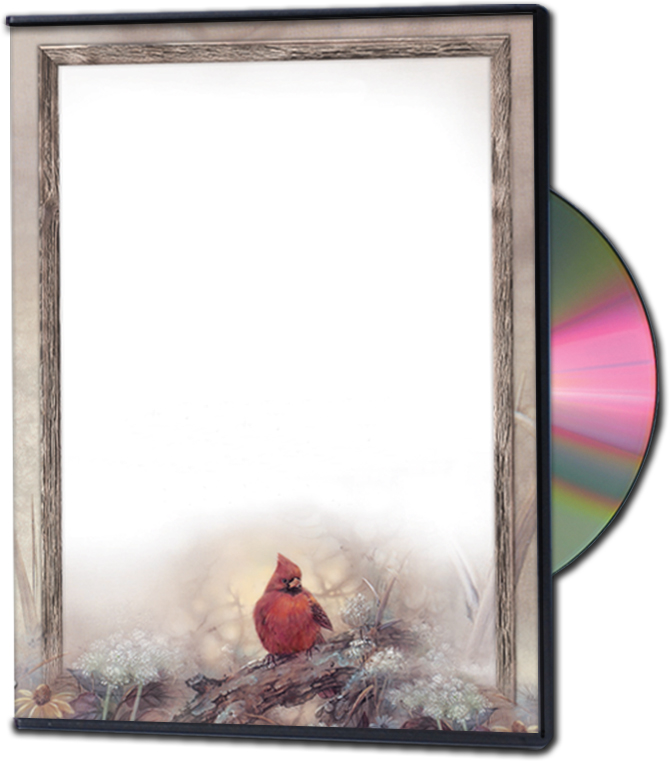 Cardinal DVD Cover Inserts