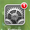 Settings Icon