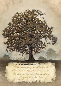 Family Tree Cover Art Family Tree Book Cover Image