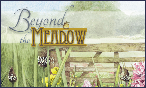 Beyond the Meadow