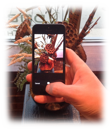 Record Floral Arrangements with the Floral Xpress App