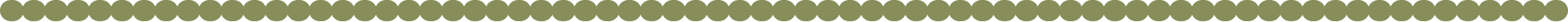 DividerDots_Green_NFDA2025_02