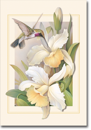 natures-flight-ssf-service-