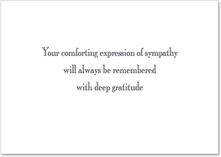 Traditional - Your Comforting Expression