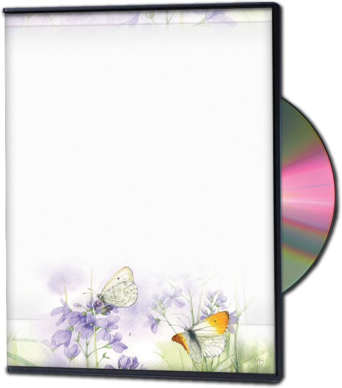 After the Rain Box Set