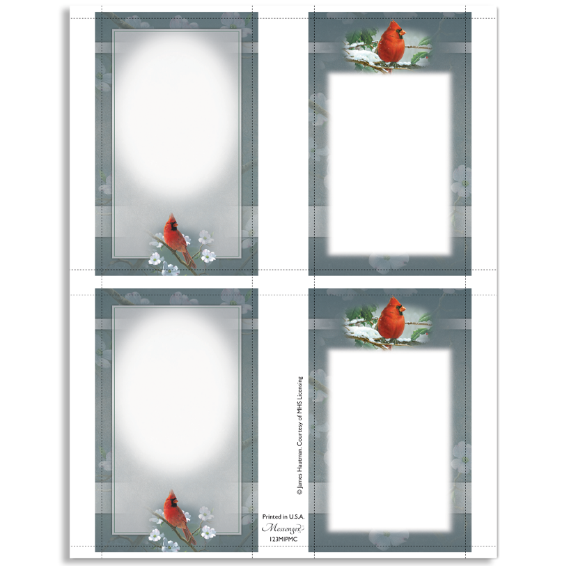 Northern Cardinal Memory Cards