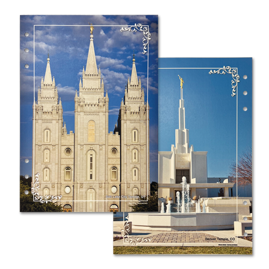 (未使用･未開封品)Stand Ye in Holy Places: The Salt Lake Temple [DVD] Salt Lake City LDS Temple Stand Ye in Holy Places
