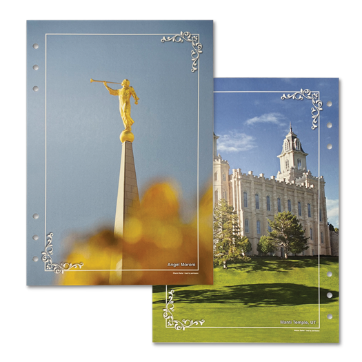 (未使用･未開封品)Stand Ye in Holy Places: The Salt Lake Temple [DVD] farp,medium,wall_texture,