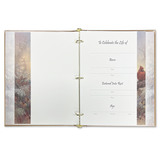 Cardinal 8 Register-Trennblätter Für Tabloid-Ordner (27,9 X 43,2 Cm) – Mehrfarbig, Extra Robust