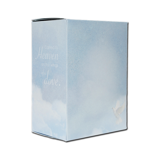 Divine Flight Temporary Urn Box